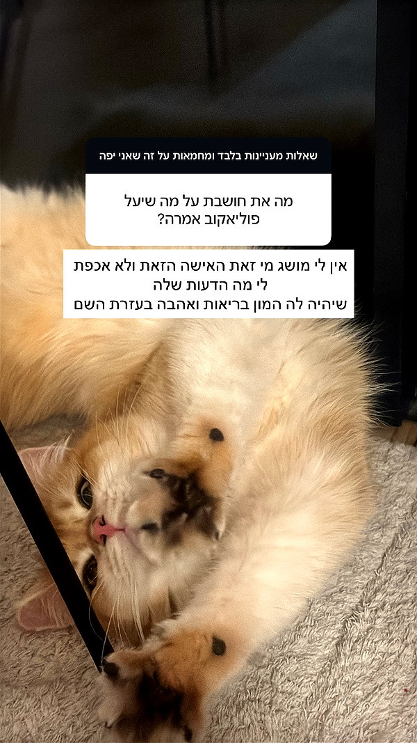 itsilanosh instagram image archive image