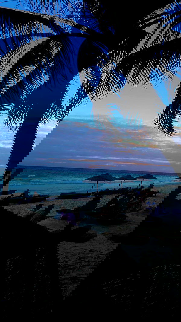 taylor.creeden taylor.creeden archive image