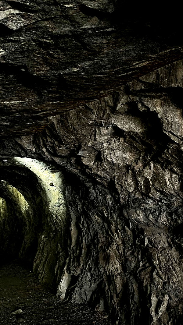 vvelum_ archive image