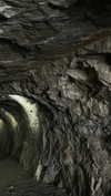 vvelum_ Altpins Profile Picture