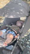 babystarisrael Altpins Profile Picture