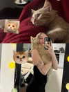 mishel116 Altpins Profile Picture
