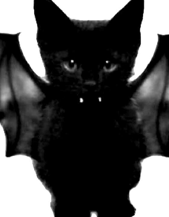 nyxaainaaa_ instagram image archive image