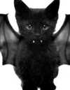 nyxaainaaa_ Altpins Profile Picture
