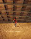 tom_korati Altpins Profile Picture
