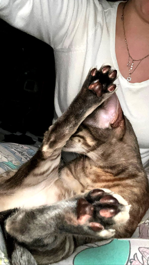 Archived image from @notchicore on Instagram