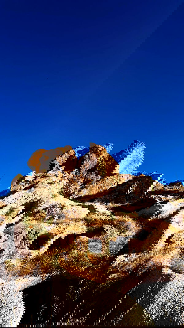 taylor.creeden taylor.creeden archive image