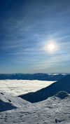 daisy_r_19 Altpins Profile Picture