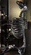 ann.shellll Altpins Profile Picture
