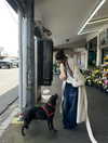 fair_mua Altpins Profile Picture