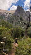 solzarubin_ Altpins Profile Picture