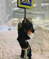 goral.sa Altpins Profile Picture