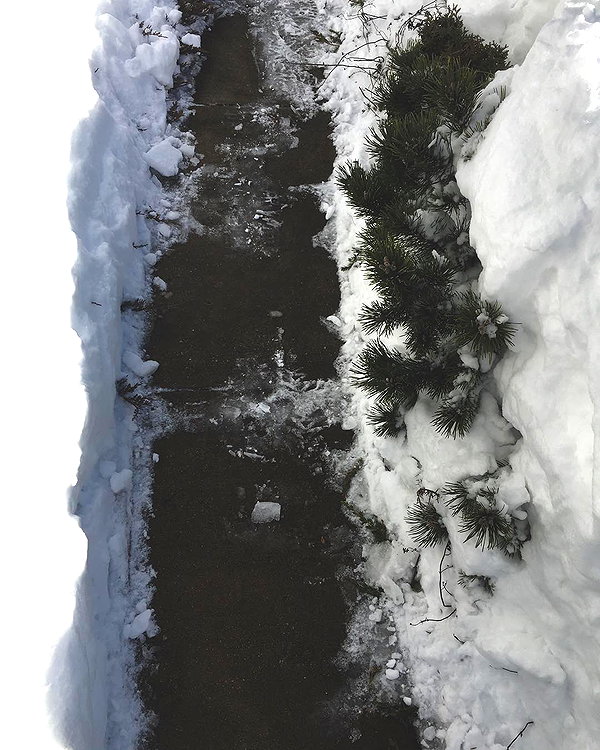 hallucineon instagram image archive image