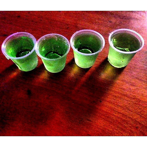 alexandradaddario instagram image archive image