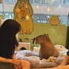 dante_yangpa Altpins Profile Picture