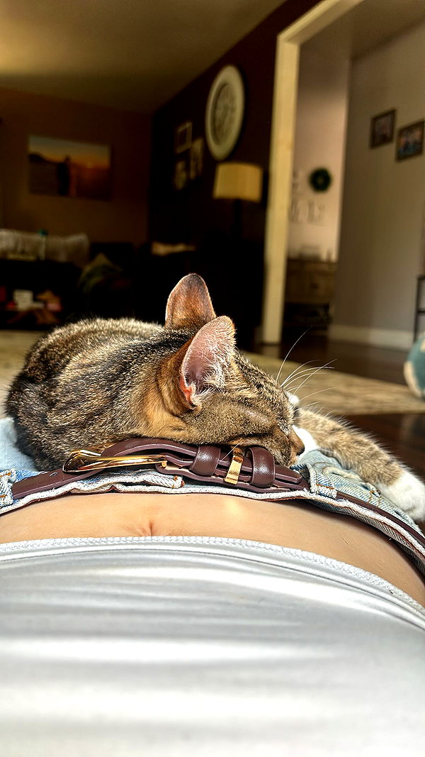 olivia.bolgerr instagram image archive image