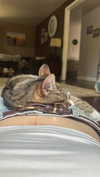 olivia.bolgerr Altpins Profile Picture