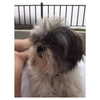 ashleybenson Altpins Profile Picture