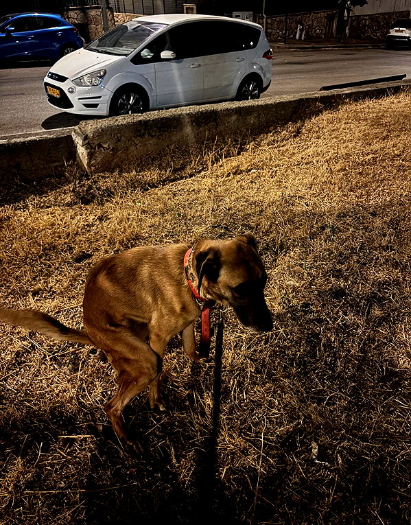 rei.sigalov instagram image archive image