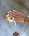kimberlyy.lynnn Altpins Profile Picture