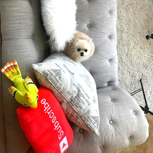 sssniperwolf instagram image archive image
