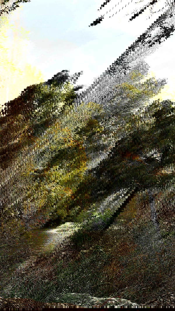 strawberryshanz strawberryshanz archive image