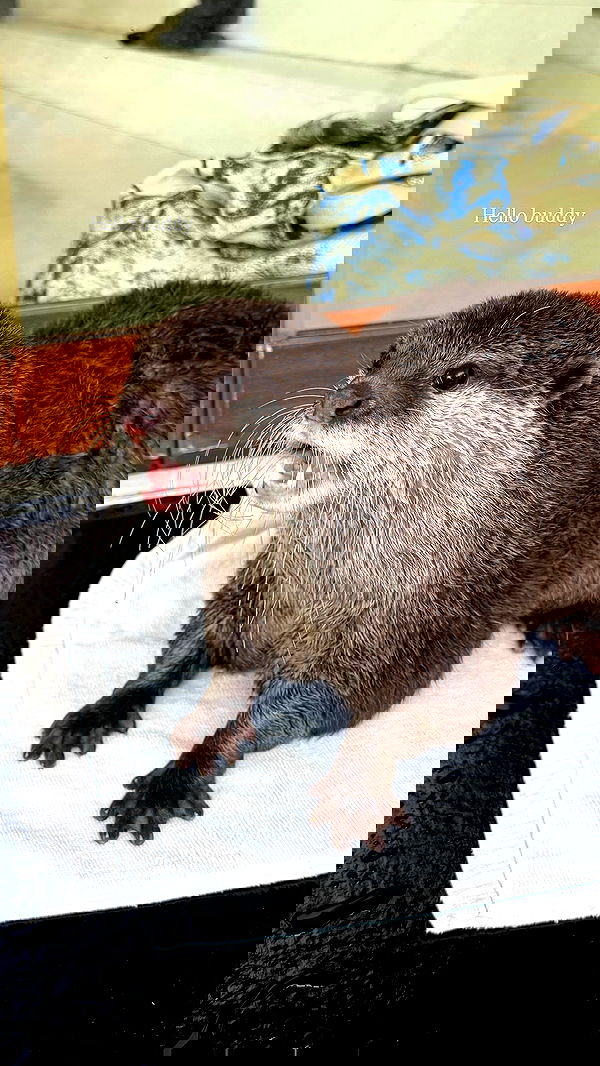 taylor.creeden taylor.creeden archive image