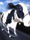 milkibunshehe Altpins Profile Picture