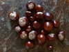 milena_milachich Altpins Profile Picture