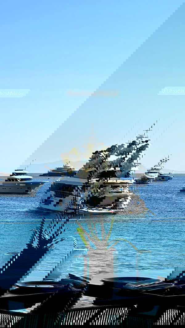 taylor.creeden taylor.creeden archive image