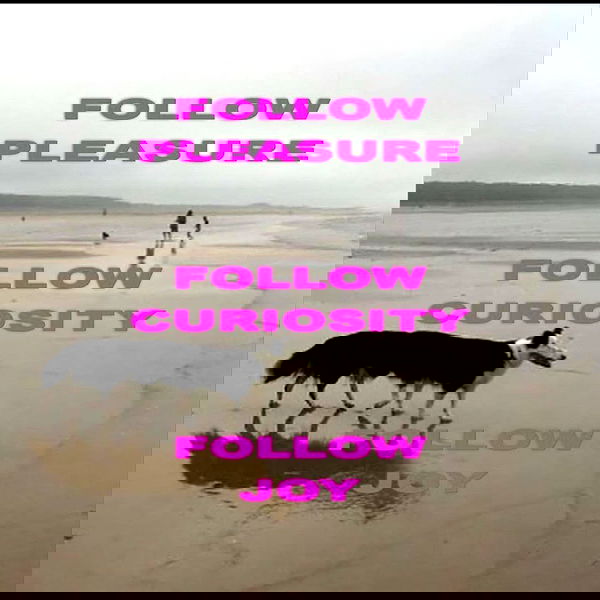 missnyxdawn missnyxdawn archive image