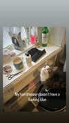 jahia_brown Altpins Profile Picture
