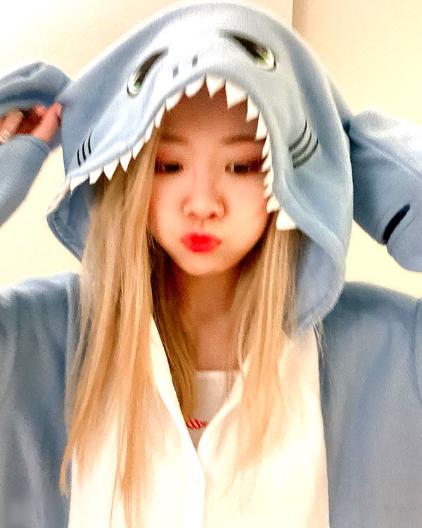 igumdrop instagram image archive image