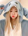 igumdrop Altpins Profile Picture