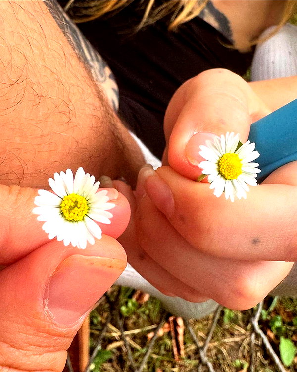 Archived image from @noyrll on Instagram