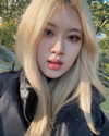 allissashin Altpins Profile Picture