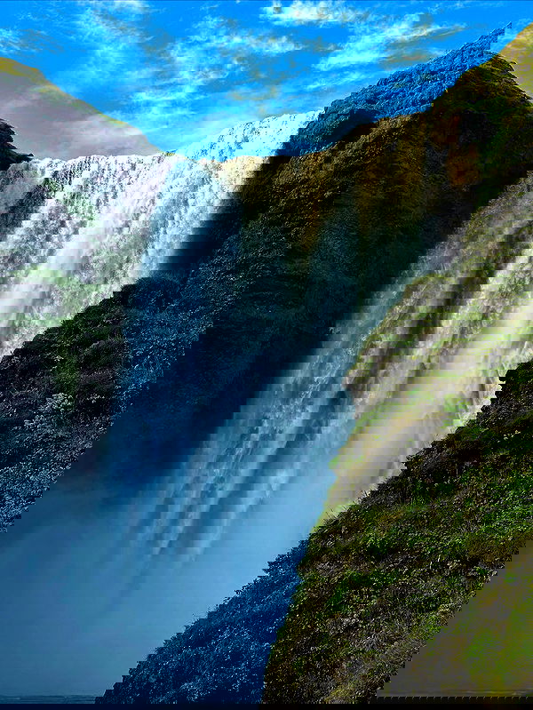 taylor.creeden taylor.creeden archive image