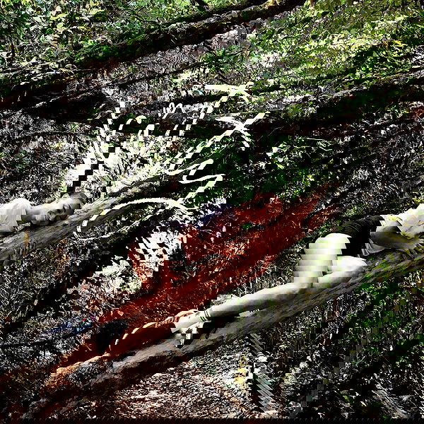 kkulakovaa image ~ Altpins