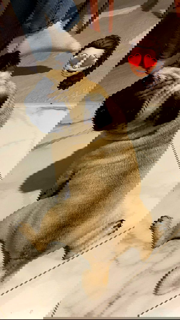 nyityam nyityam archive image