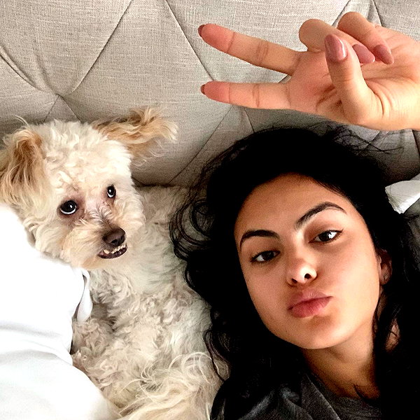 camimendes instagram image archive image