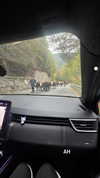 la.vica_ Altpins Profile Picture