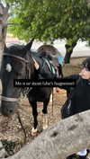 moonliliaght Altpins Profile Picture