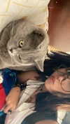 romxcohen Altpins Profile Picture