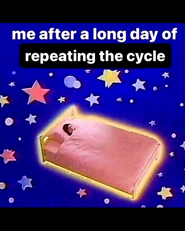 leanbeefpatty instagram image archive image
