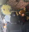 bugz4brainz Altpins Profile Picture