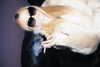 ch111oe Altpins Profile Picture