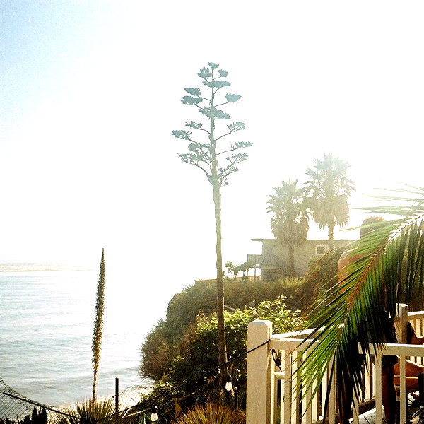 sydneygottlieb instagram image archive image