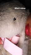 elizabethcampbelljones Altpins Profile Picture