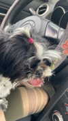 babynympho_archive Altpins Profile Picture
