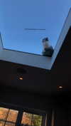 777pb_ Altpins Profile Picture